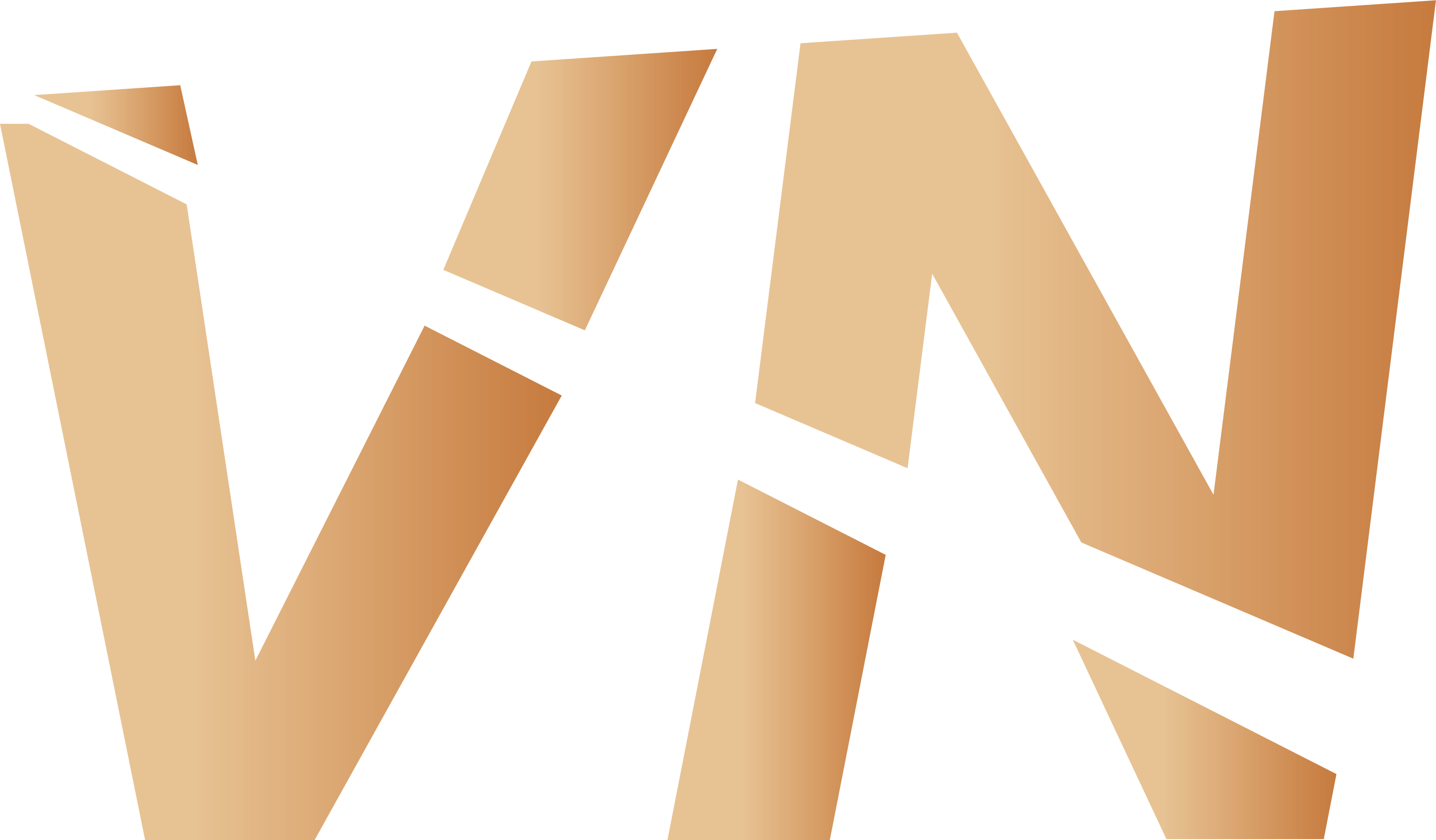 VN logo